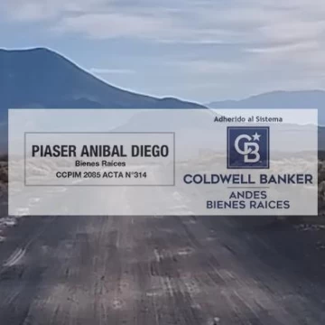 Campo en Cuadro Benegas