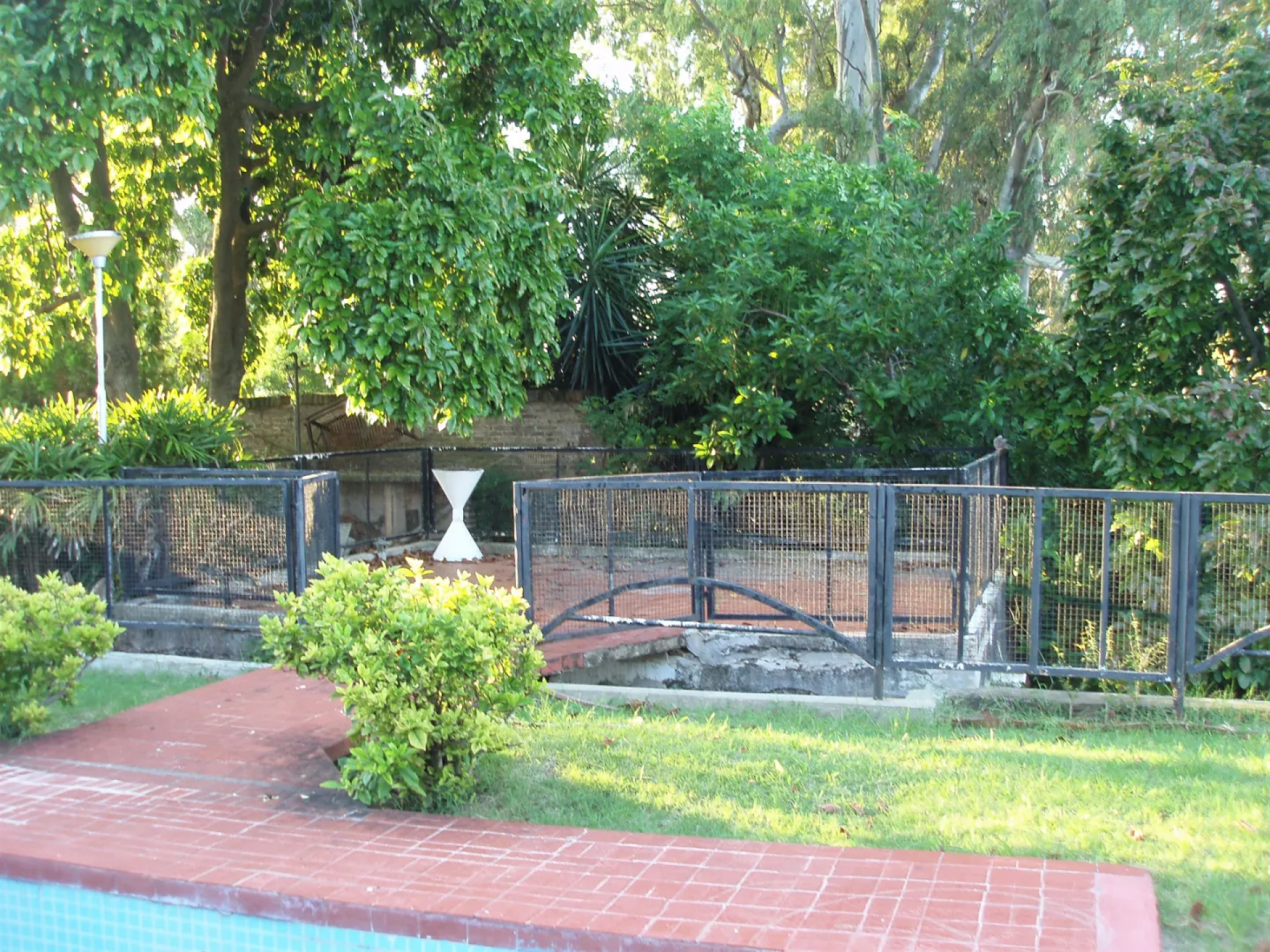 image 12