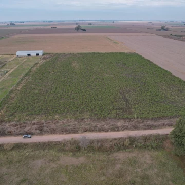 Parcela Rural de 10.000 m² en Alvarez