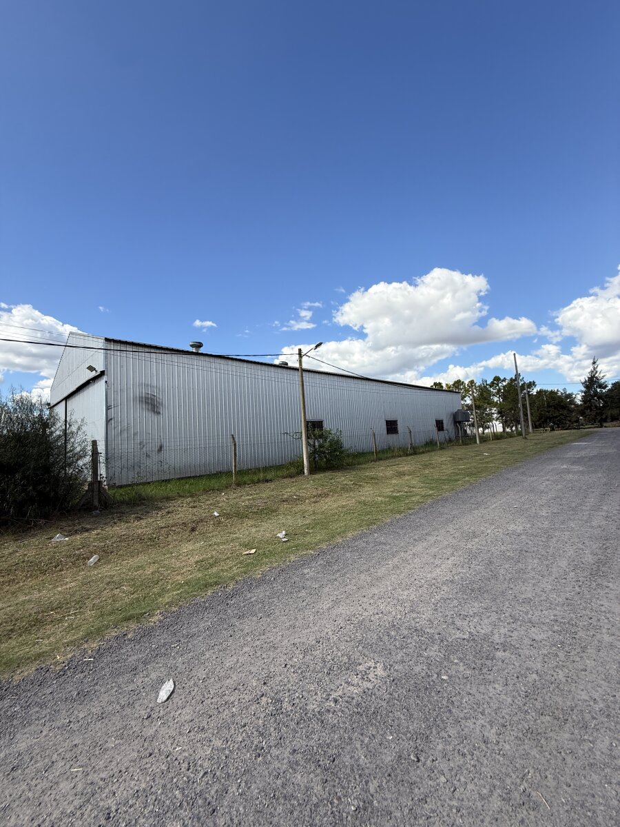 image 13