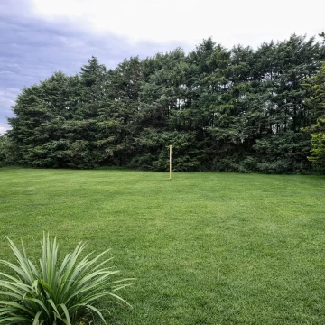Quinta en Venta Ideal inversor, desarrollo, uso recreativo 3140 m2 calle 46 e/ 243  y 244