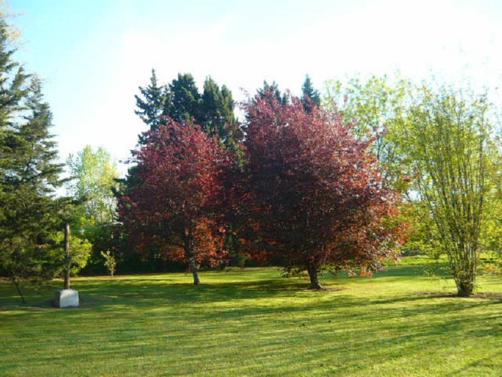 image 18