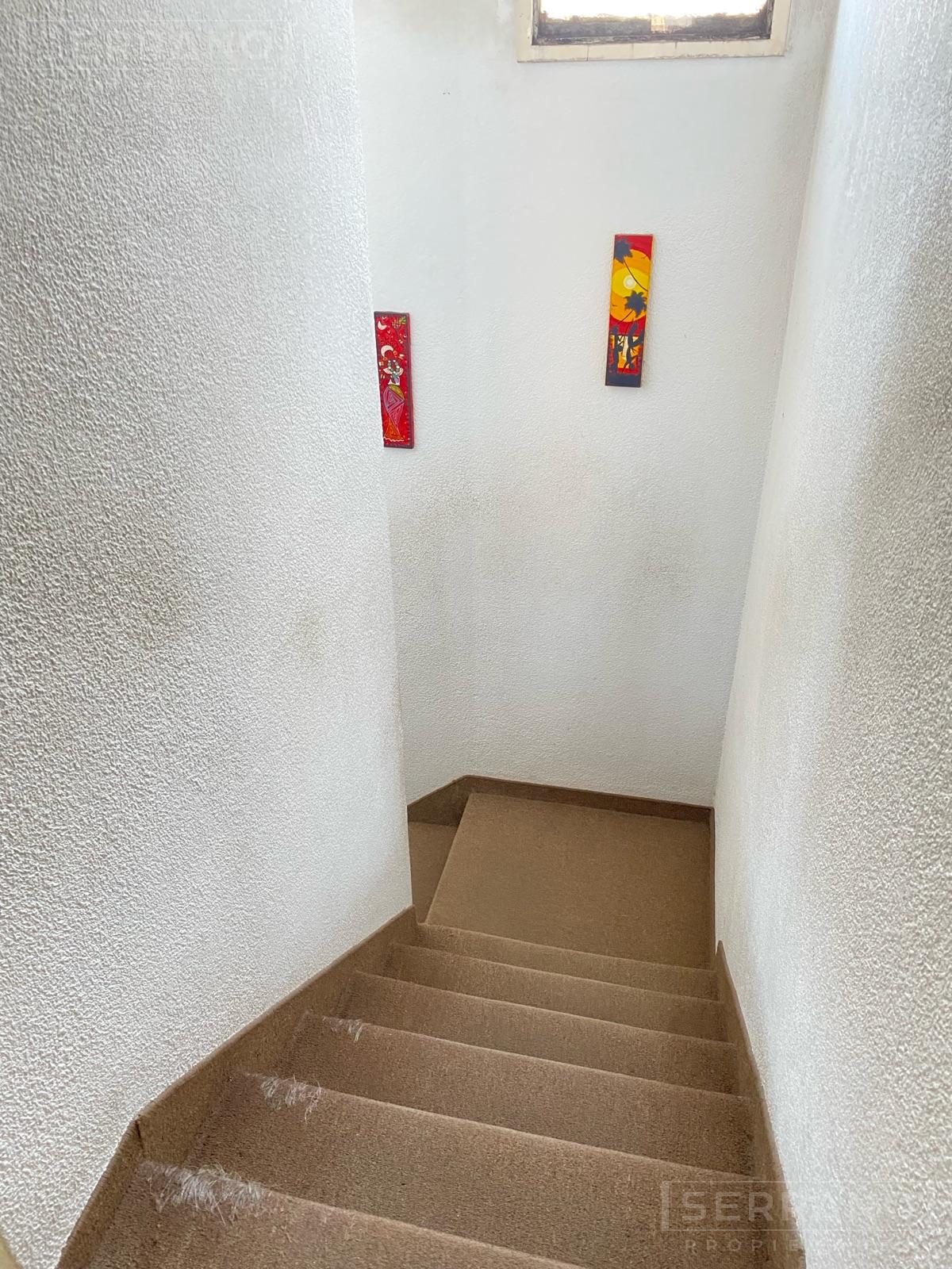 image 29
