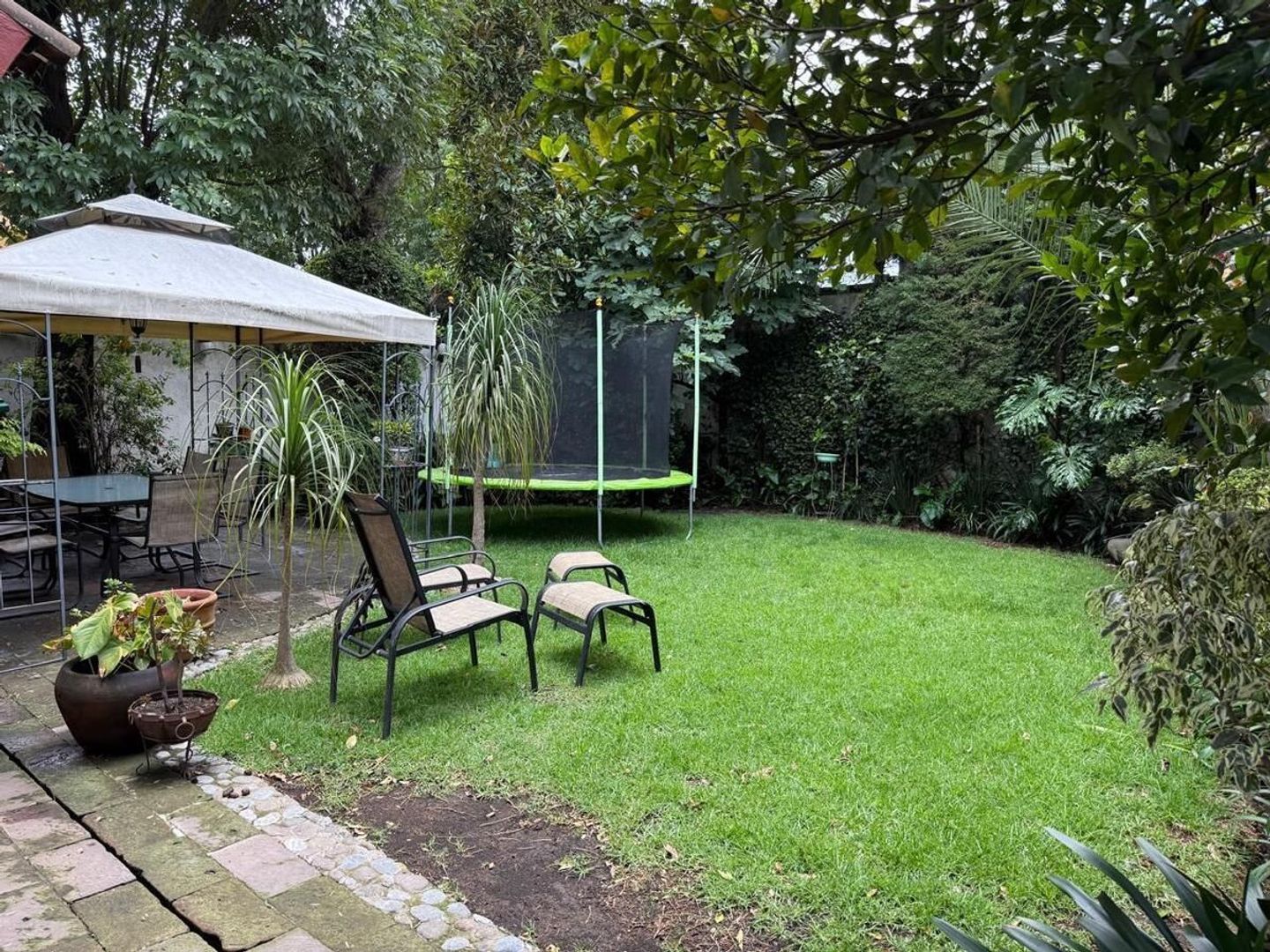JARDIN 3.jpeg