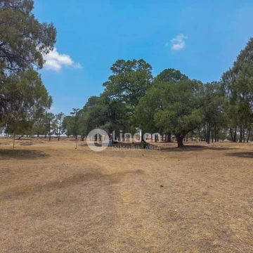 TERRENO RÚSTICO EN VENTA EN SANTA CLARA ALPUYECA, ZONA HARAS DEL BOSQUE, PUEBLA.