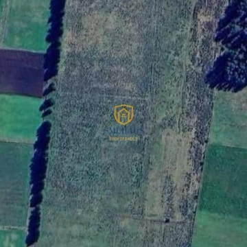 Campo en venta de 14ha ubicado en Canelones