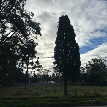 1784759067.jpg