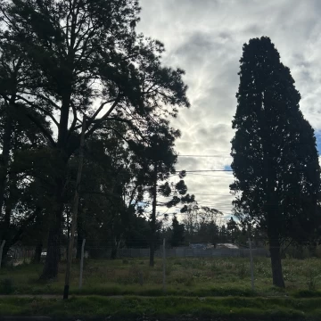 1784759068.jpg
