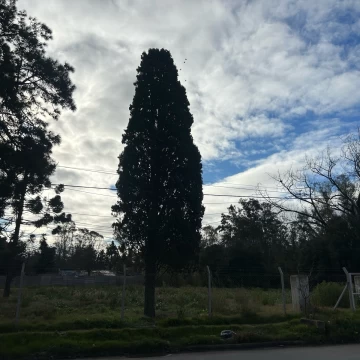 1784759069.jpg