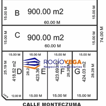 1784759079.jpg
