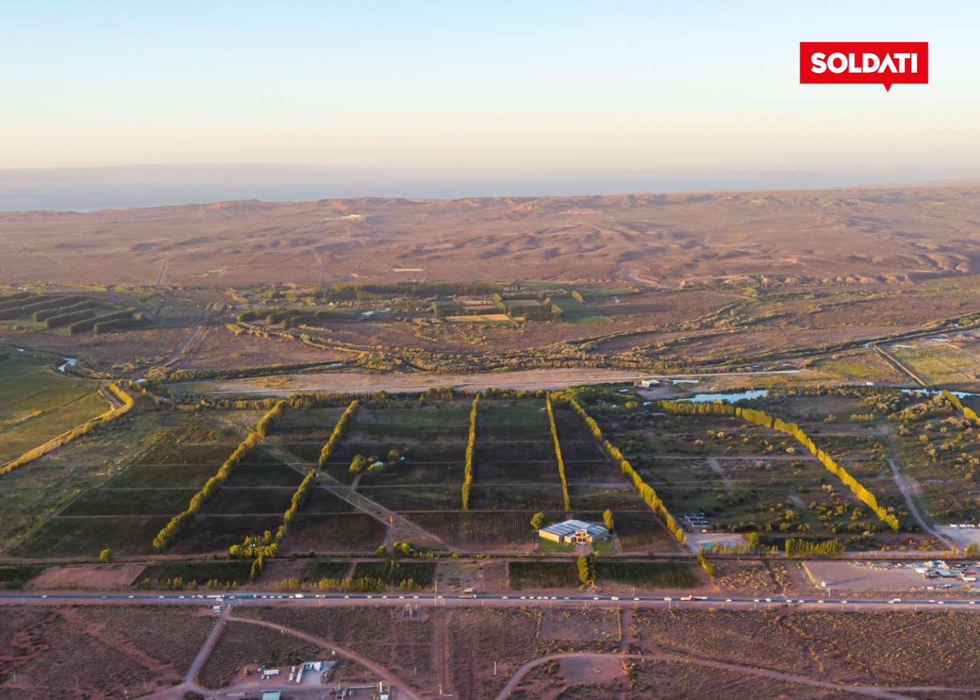 image 23