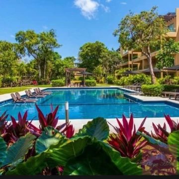 Vacation Rental by the Month!! Vaiven Del Viento: 2 Bedrooms!!