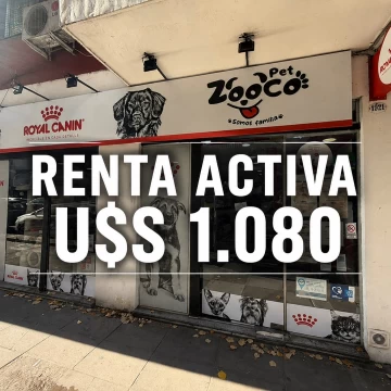 Local Venta en Guise 1900