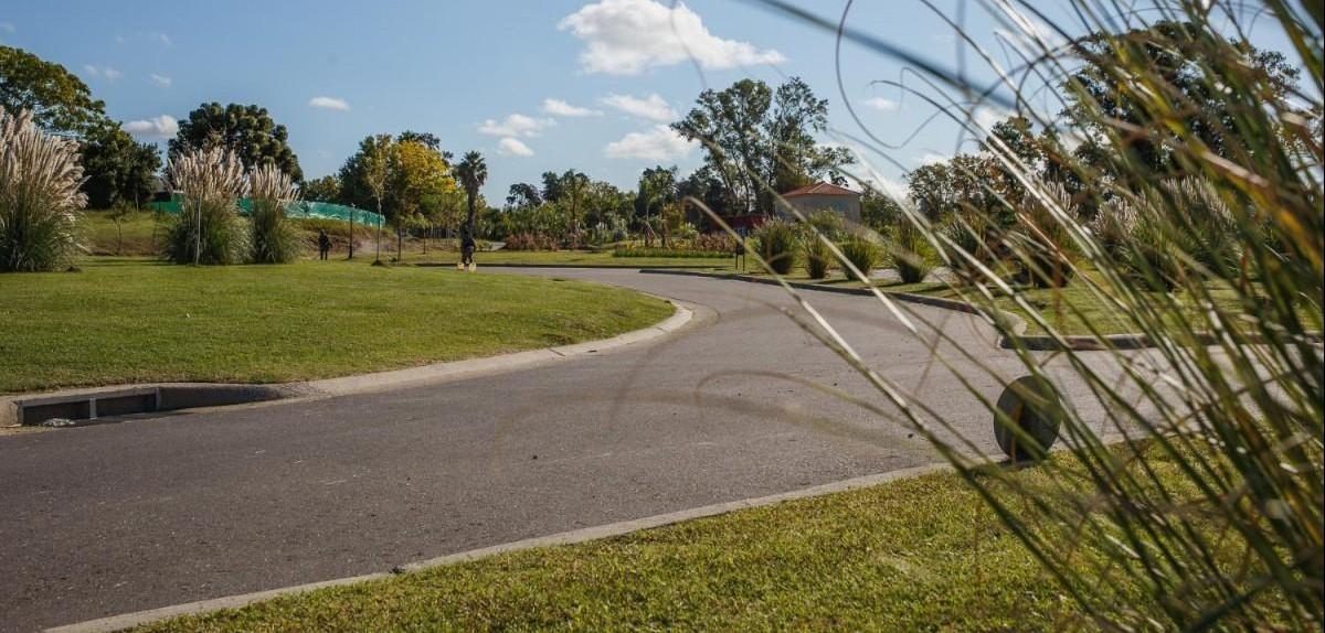 image 24