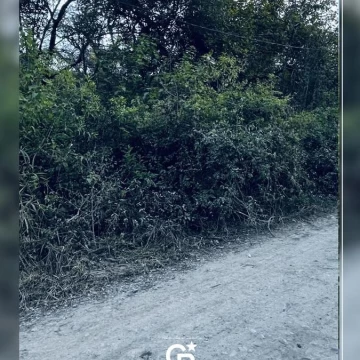 VENDO TERRENO EN CASTELLANOS 