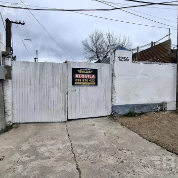 1784905567.jpg
