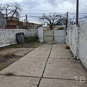 1784905568.jpg