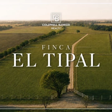 Parcelas de 10.000 m2 en Chicoana 