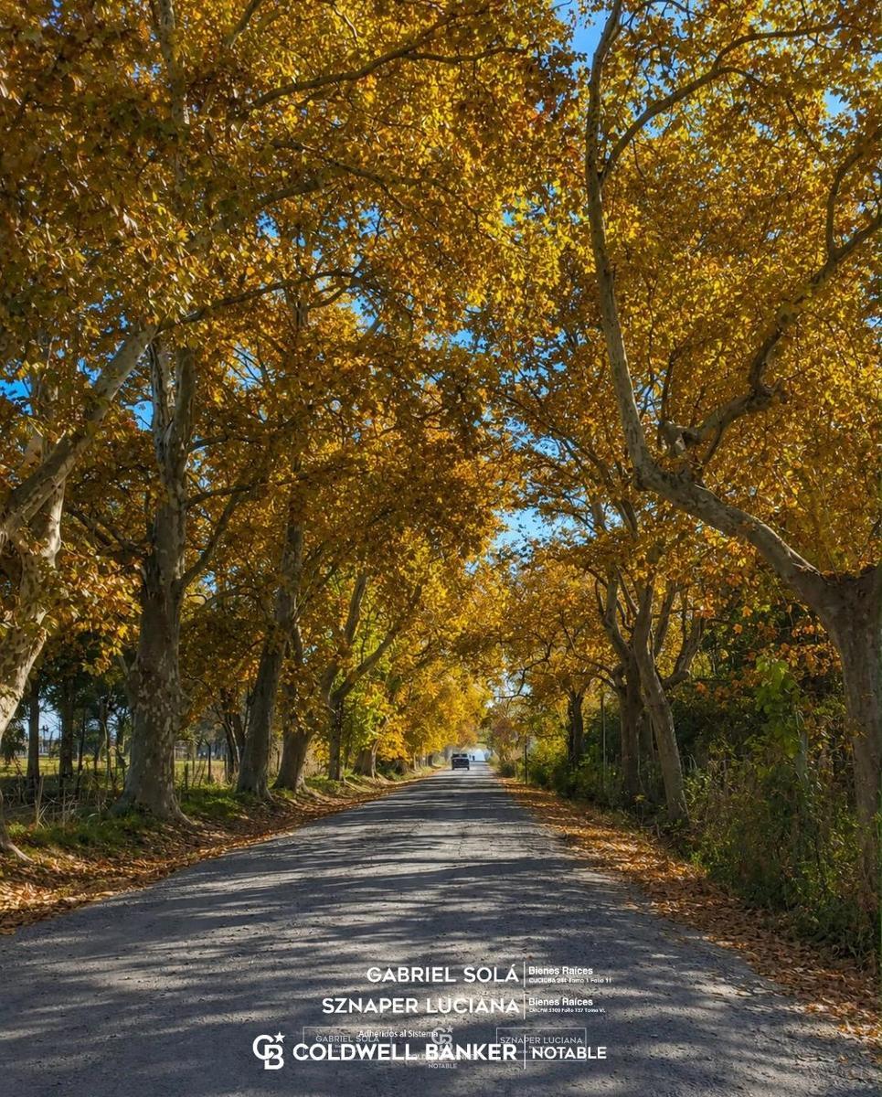CAMINOS