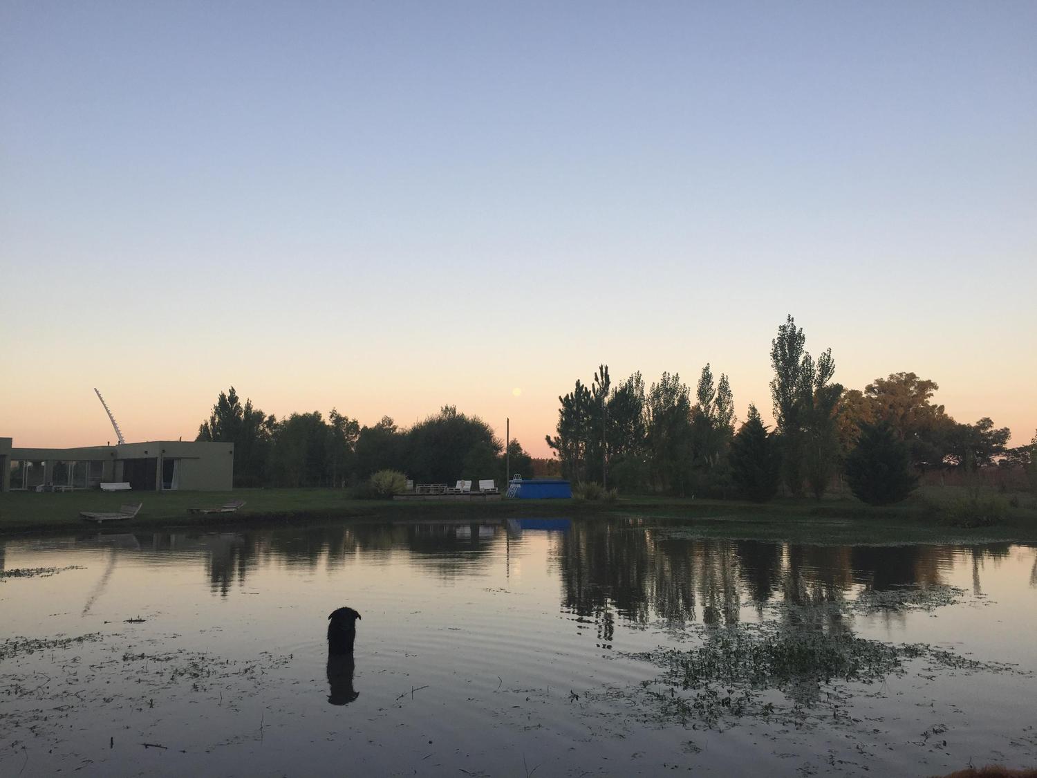 image 33