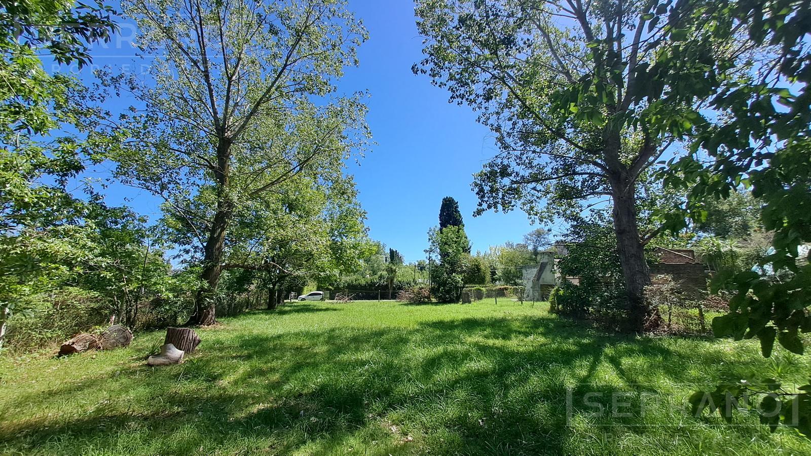 Lote arbolado 1000 m2 Parque Exaltación