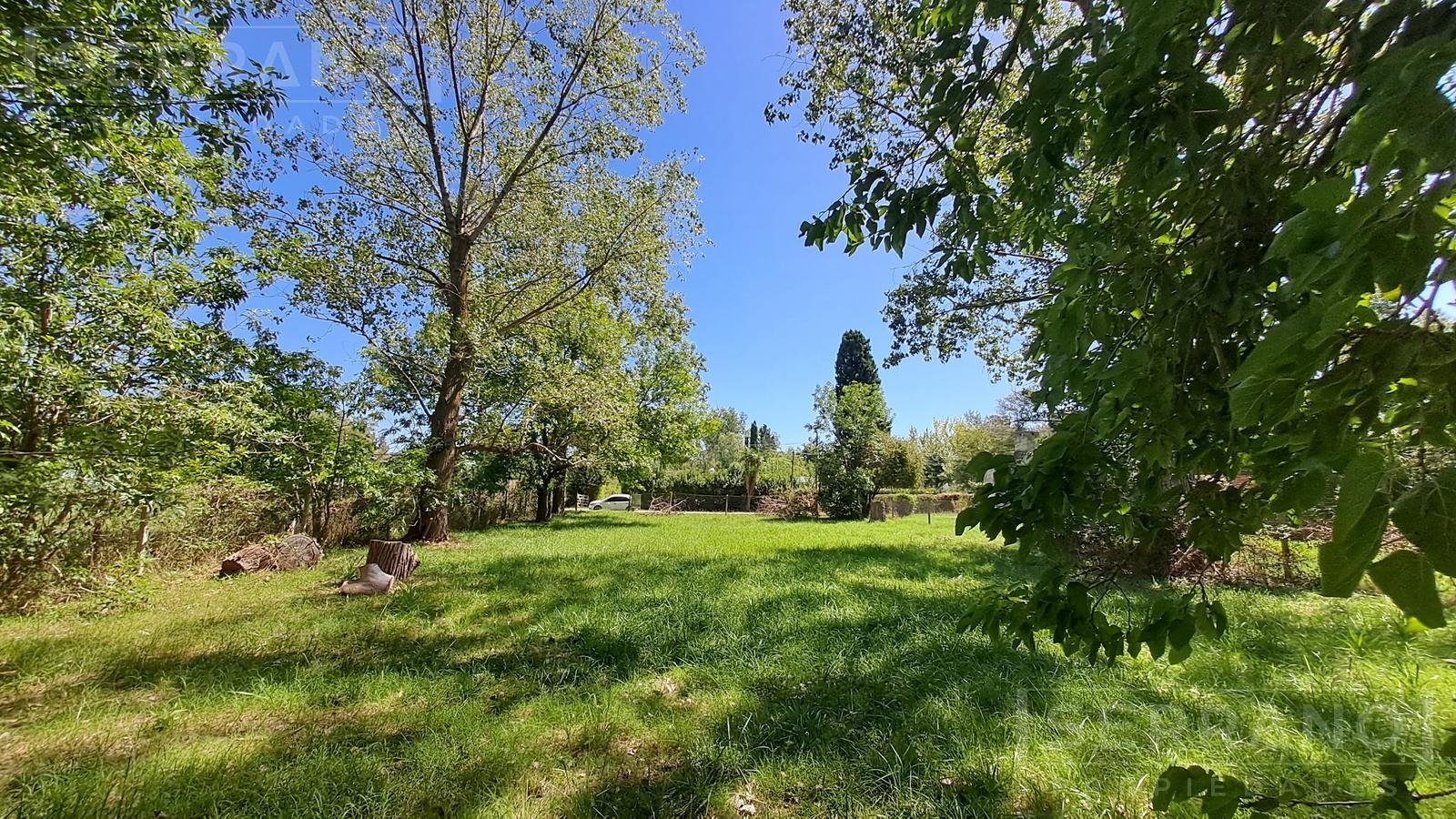 Lote arbolado 1000 m2 Parque Exaltación