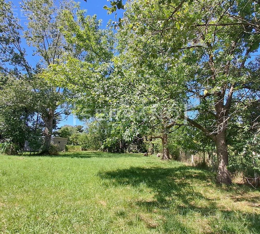 Lote arbolado 1000 m2 Parque Exaltación