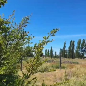 Terreno en San Rafael