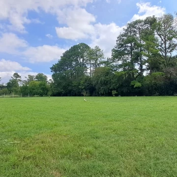 LDO Venta Lote 3183m2 subdividible con mejoras. El Remanso