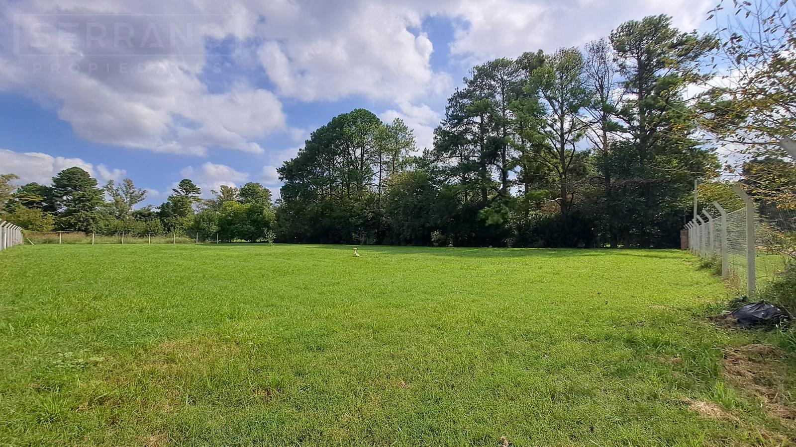 image 14