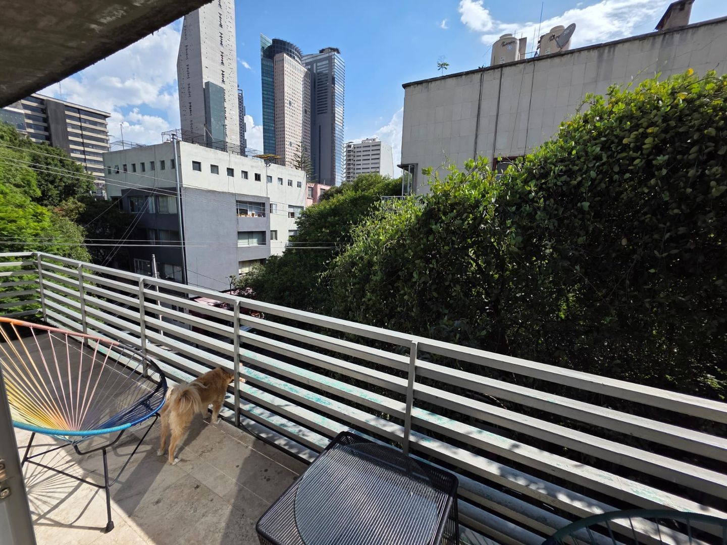 b2156d10-cee2-40eb-882c-b37abd856dec.jpeg