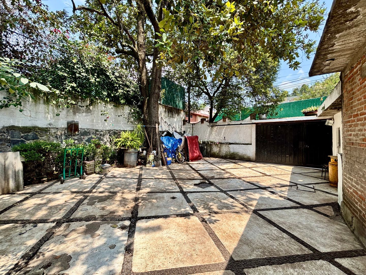 IMG_1935.jpeg