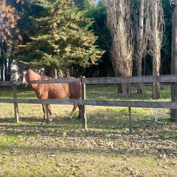 Chacra en San Andrés de Giles