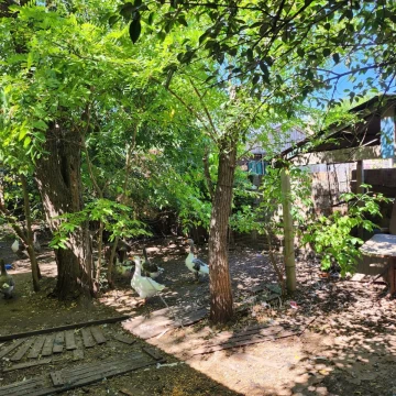 VENDO CASA QUINTA EN EZEIZA.