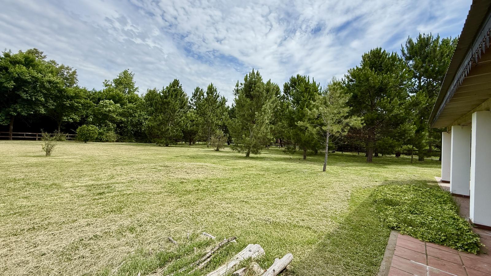 image 67