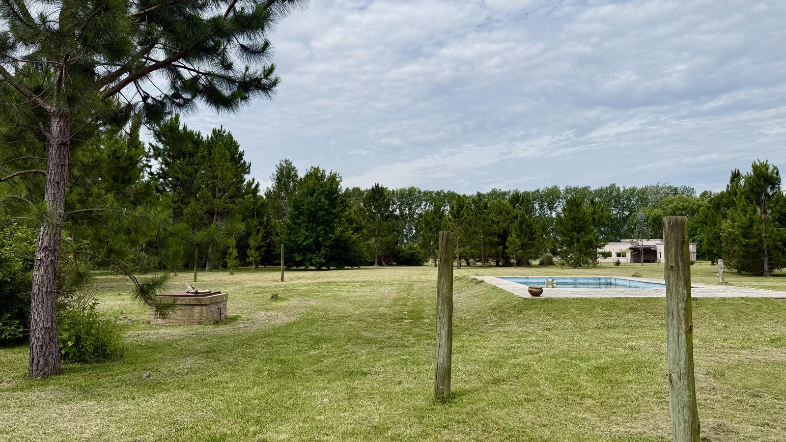 image 75