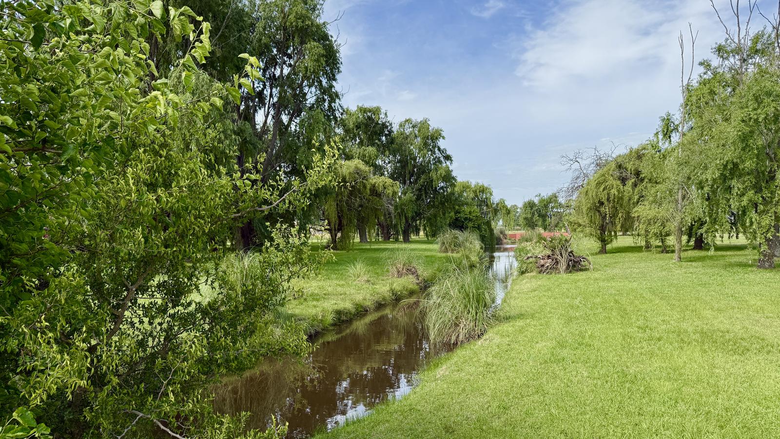 image 110