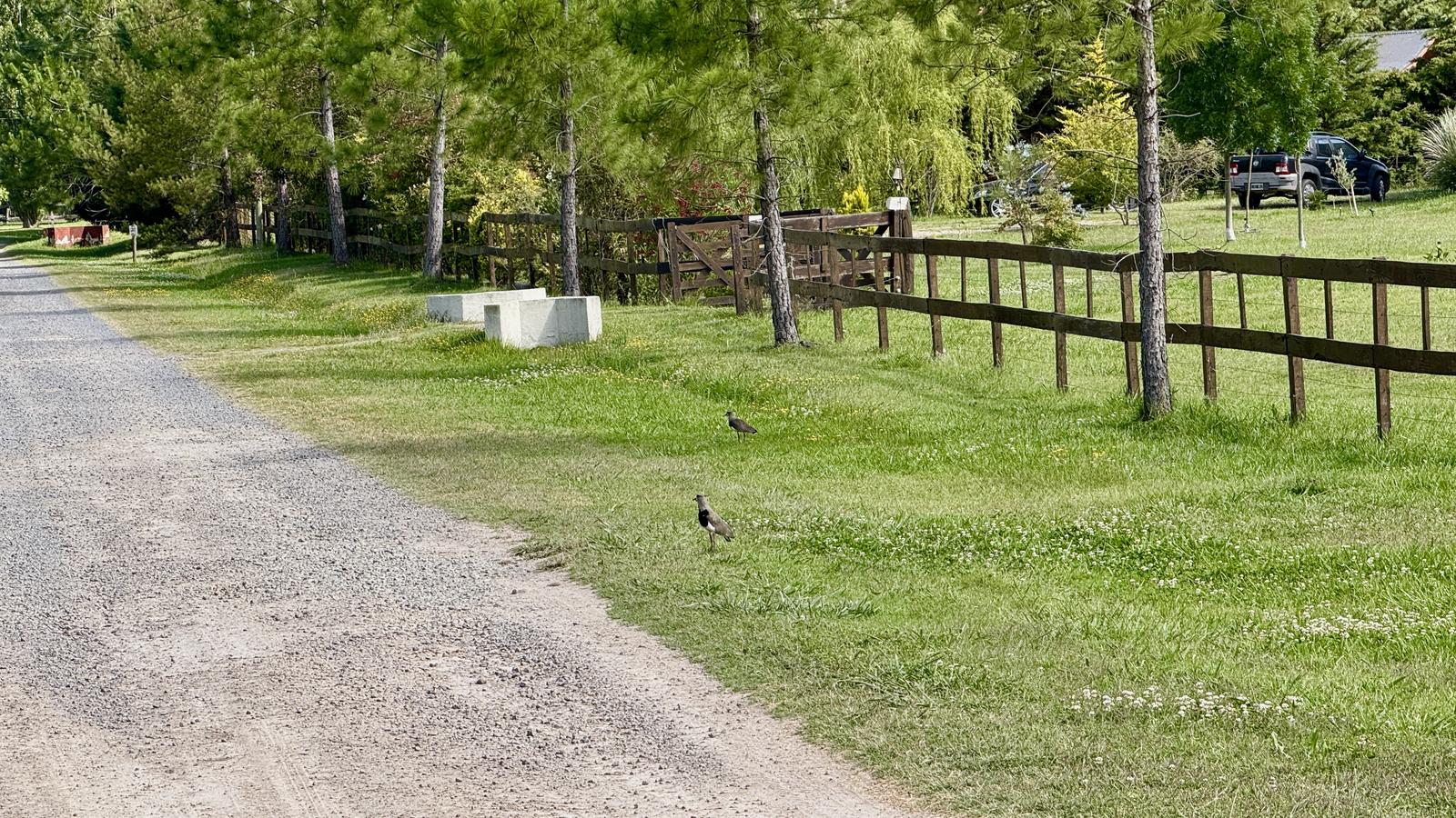 image 111