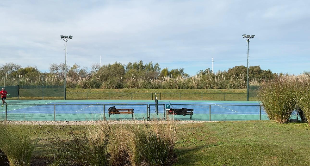 image 25