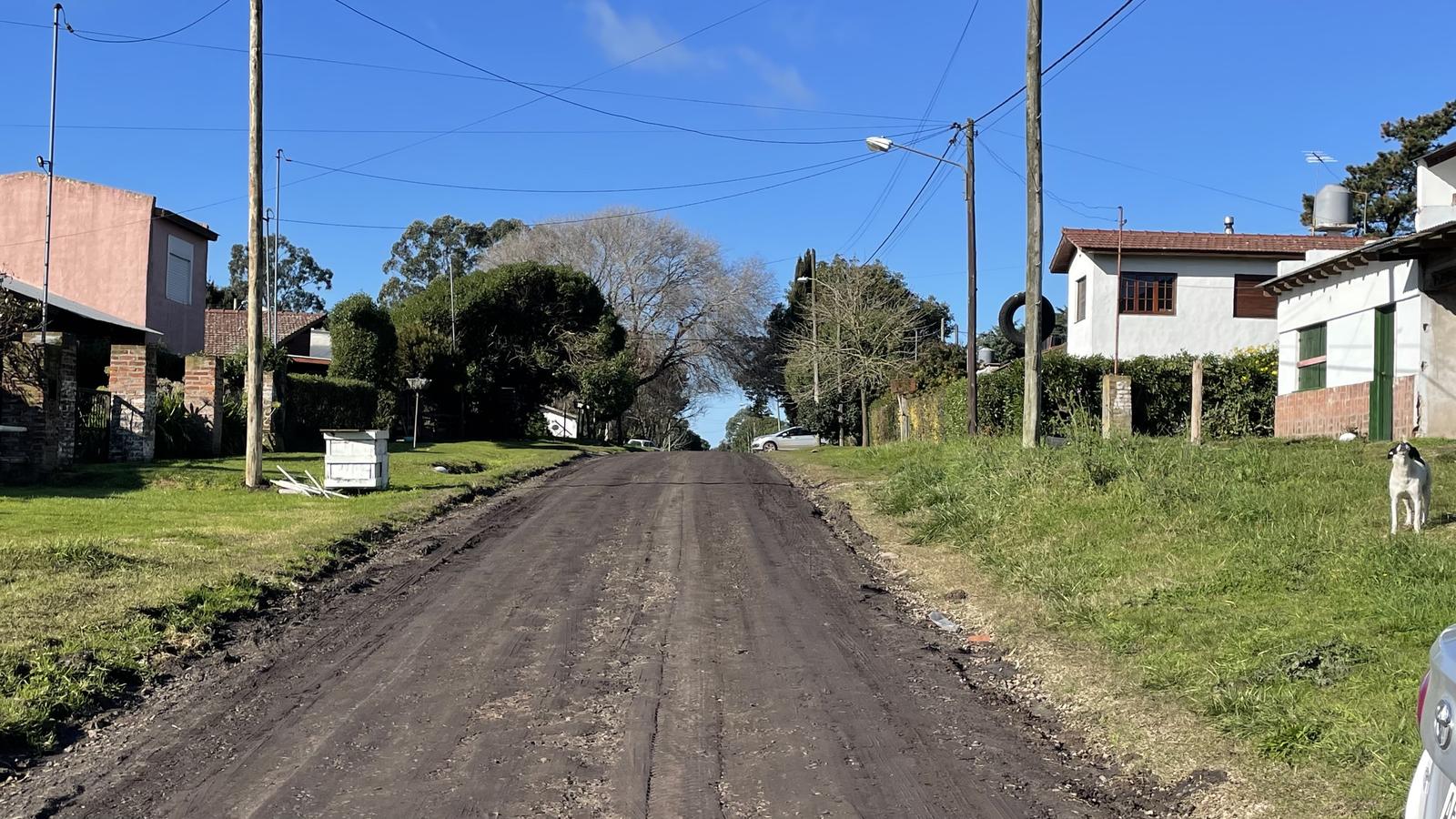 Calle 11