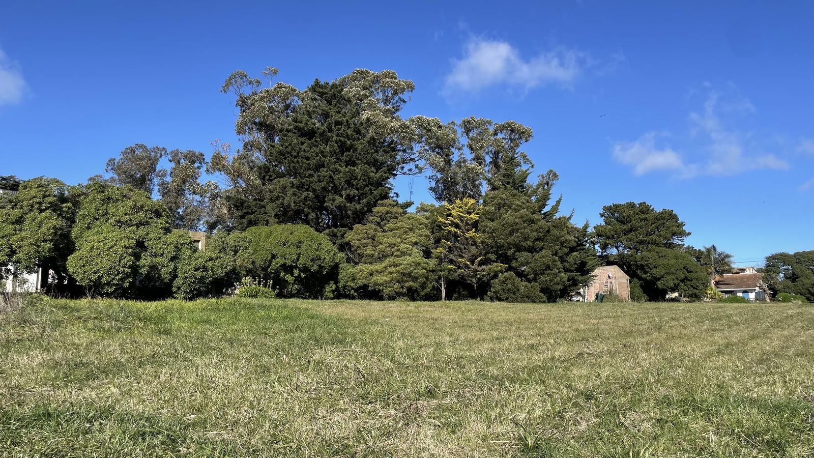 Vista del lote