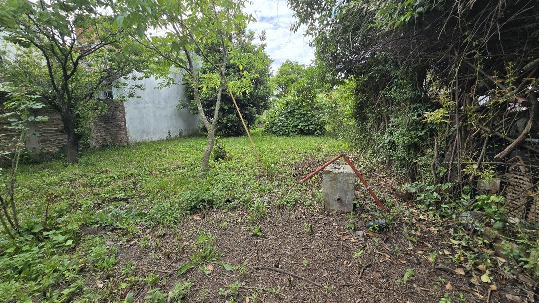 image 14