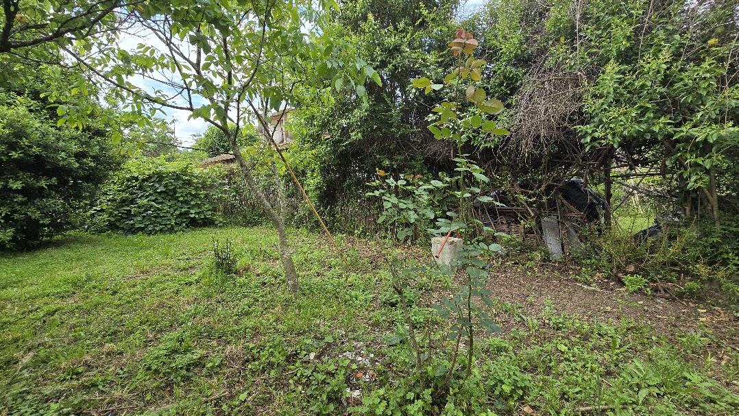 image 17