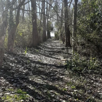Terreno en Isla Santiago