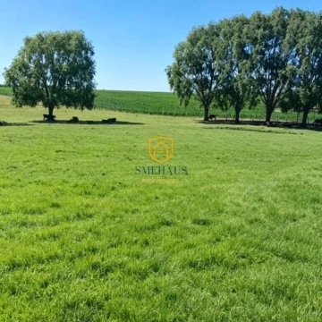 Chacra en venta ubicadas en San Jacinto