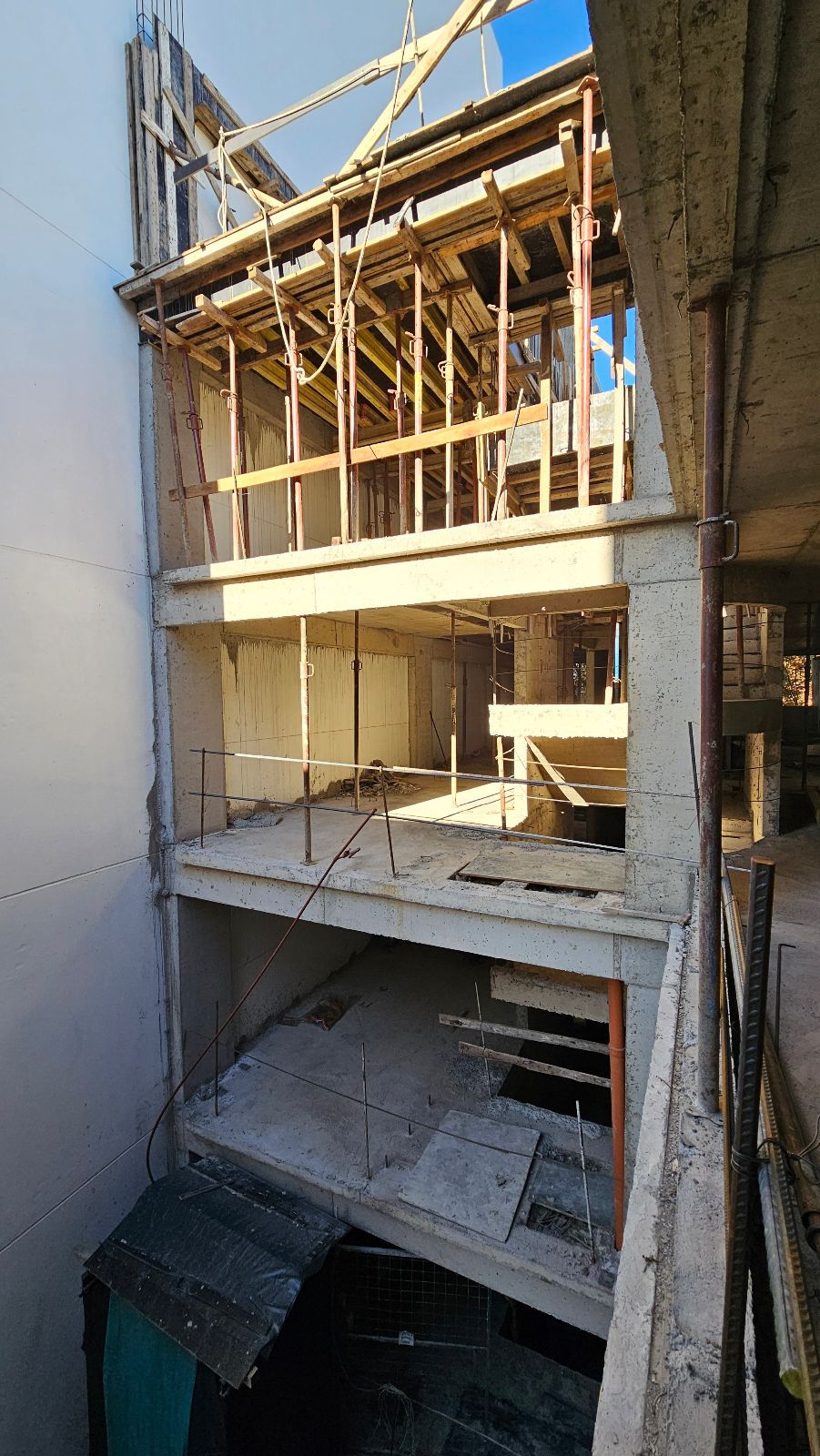 image 12