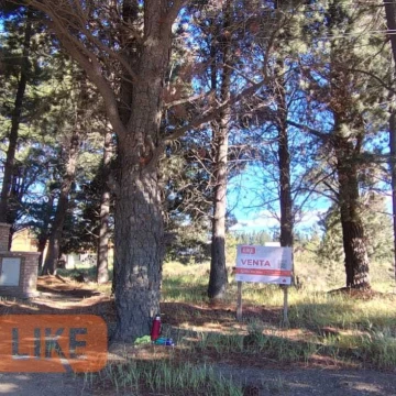 Terreno Venta en luis piedra buena 5000