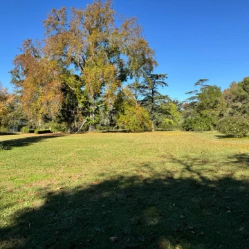 Terreno en Loma Verde