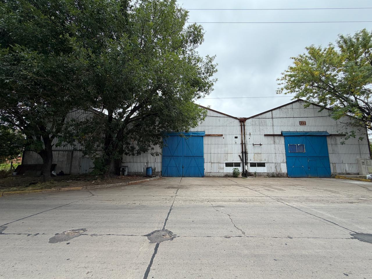 image 21