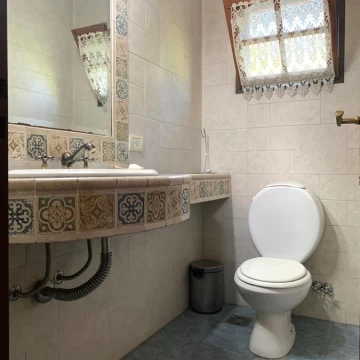 1785252264.jpg